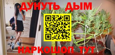 гашиш Новодвинск