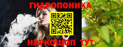 гашиш Новодвинск
